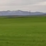 La Cija Del Abuelo A 1 Hora De Madrid *