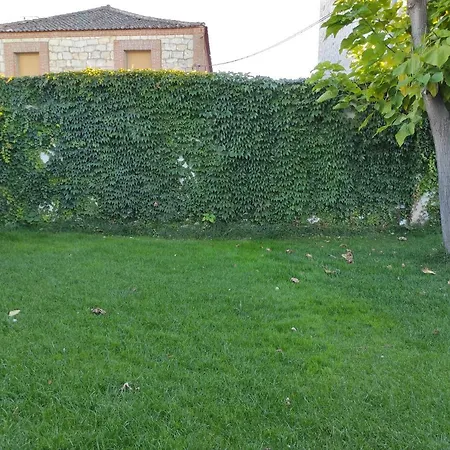 La Cija Del Abuelo A 1 Hora De Madrid 乡村民宿 塞哥维亚