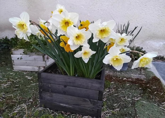 La Cija Del Abuelo A 1 Hora De Madrid * Segovia