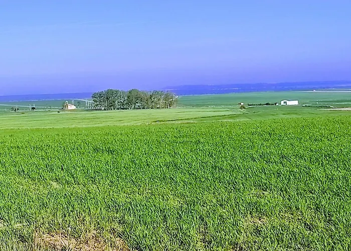 컨트리하우스 La Cija Del Abuelo A 1 Hora De Madrid *