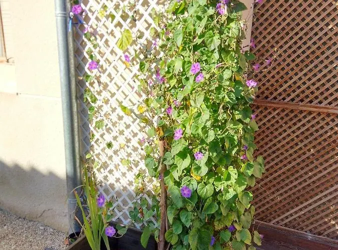 La Cija Del Abuelo A 1 Hora De Madrid 乡村民宿