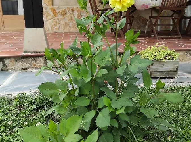 Casa rural La Cija Del Abuelo A 1 Hora De Madrid *